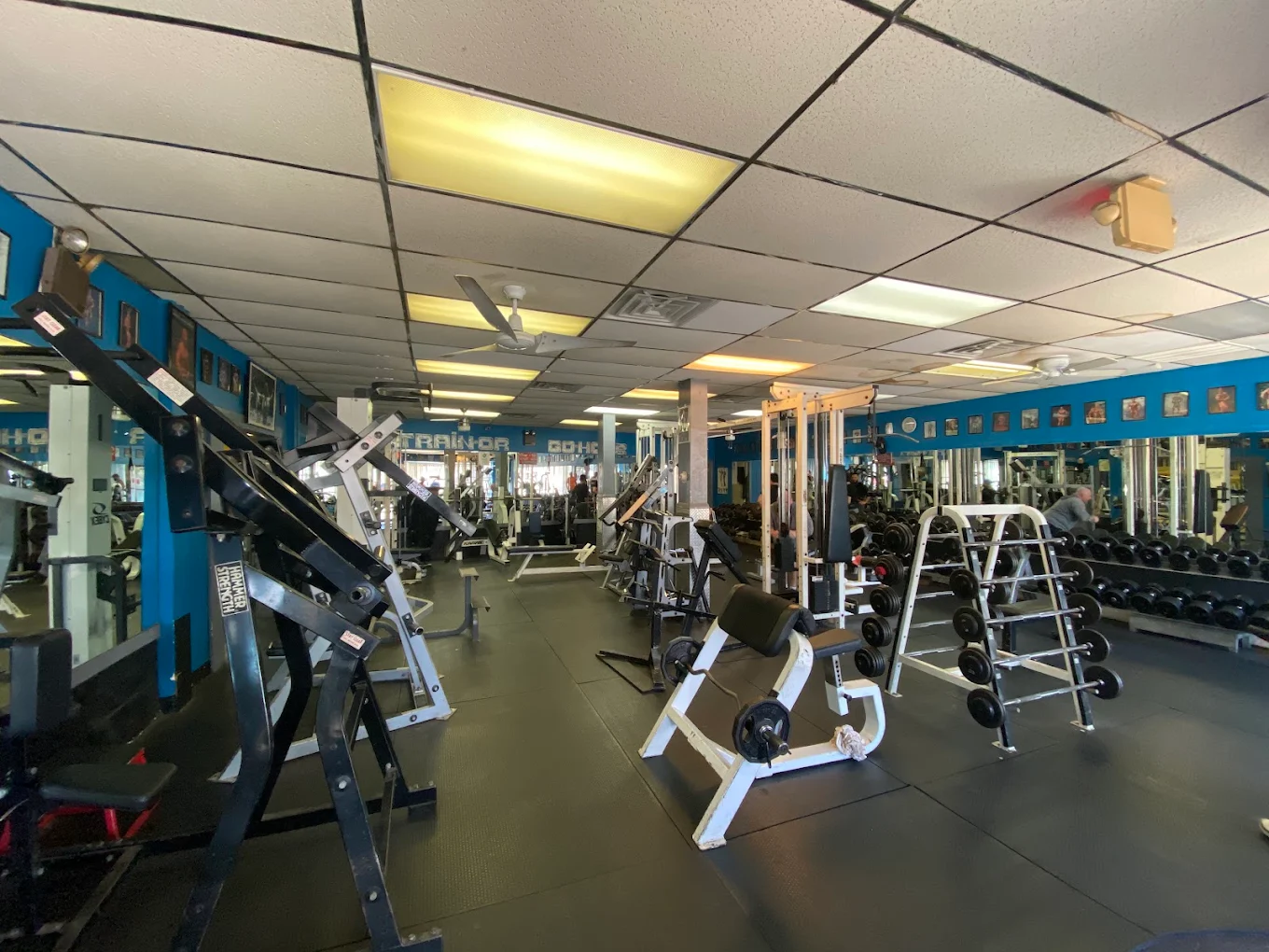 Free weights and strength machines inside Plaza Fitness in Bloomfield